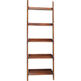 Leaning Ladder Shelf  Accessory Ladder Book shelf