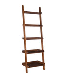 Leaning Ladder Shelf  Accessory Ladder Book shelf