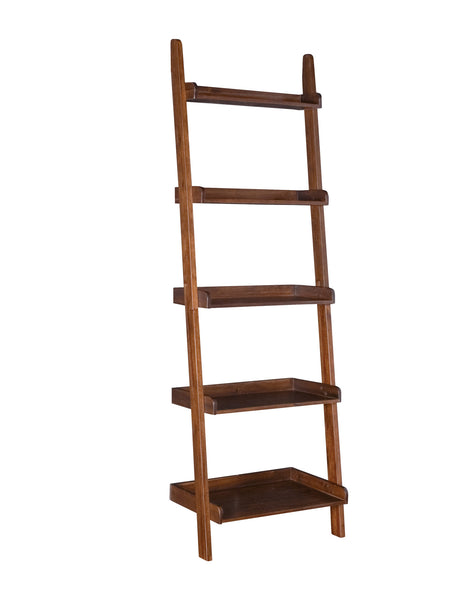 Leaning Ladder Shelf  Accessory Ladder Book shelf